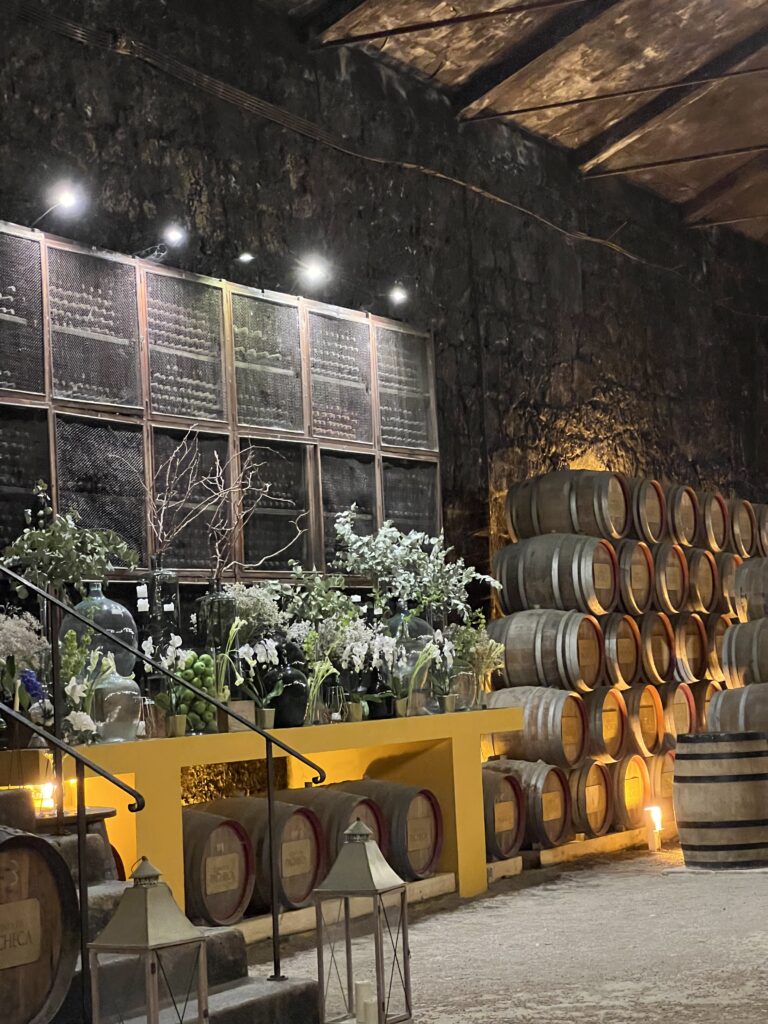 Massive barrels fill both side of a cool dark room at Quinta de Pacheca.